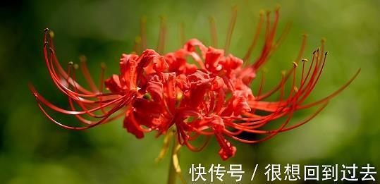 不紧不慢