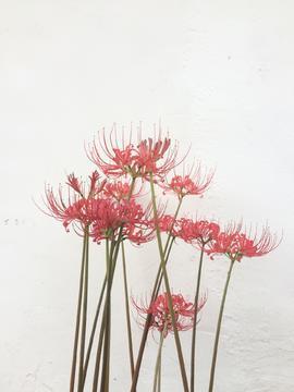 世人皆知