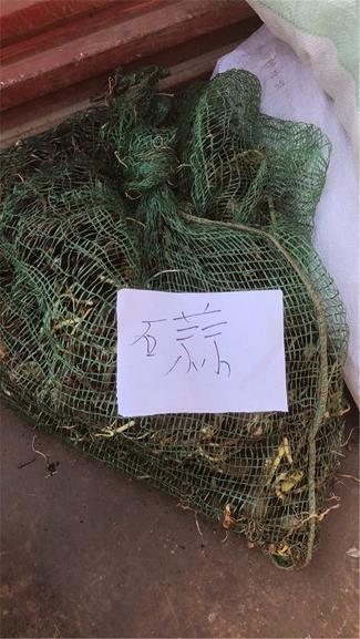 驾雾腾云