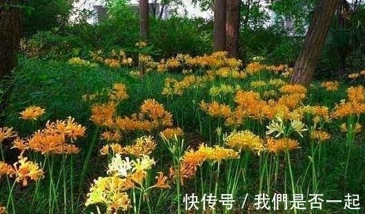 指名道姓