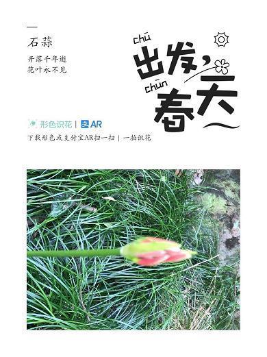 欲得而甘心