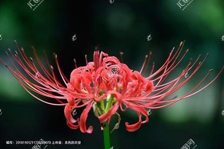 矜能负才