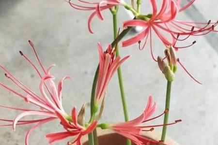 舒筋活络