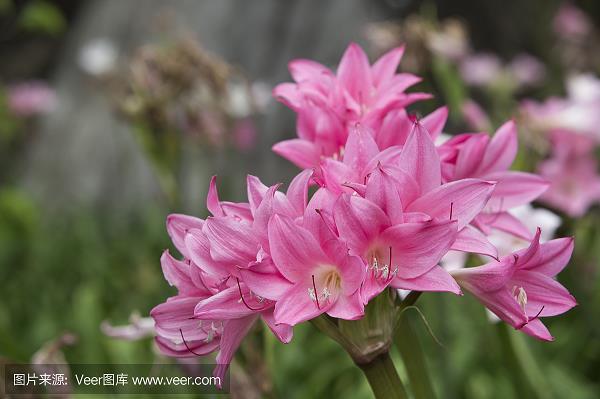 巍然耸立