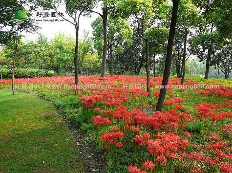 深情厚谊