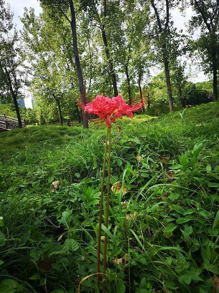 生荣没哀