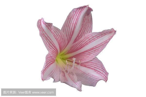 疾言怒色