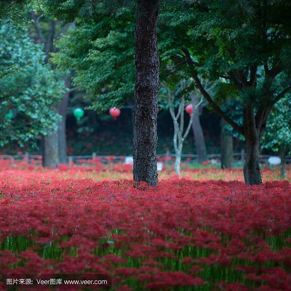省衣节食