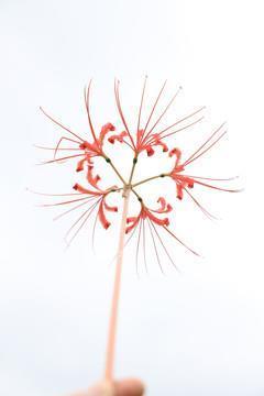 眼花历乱