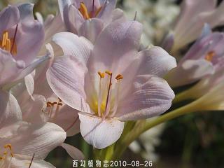 乒乒乓乓