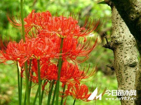 光阴似箭，日月如梭