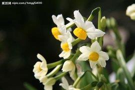 再蹈覆辙