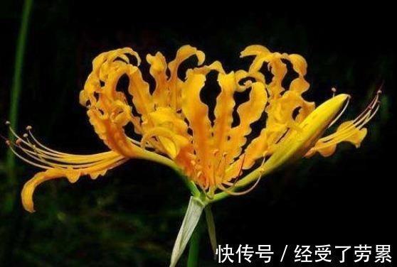 永垂竹帛