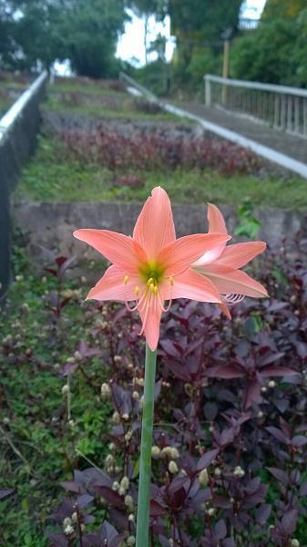 辞微旨远