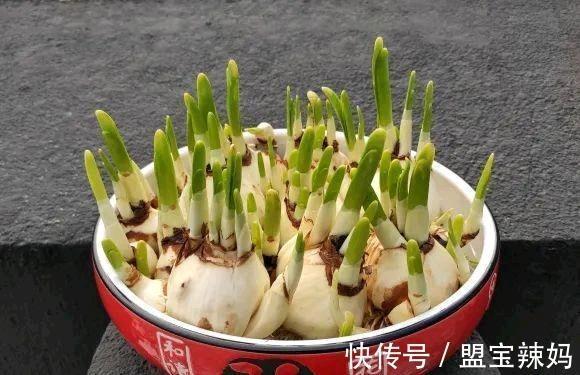 归老田间