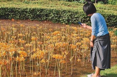 三复斯言