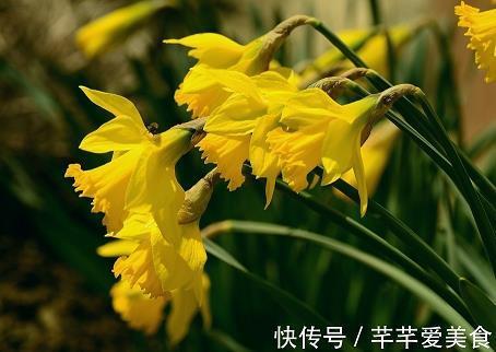 还元返本