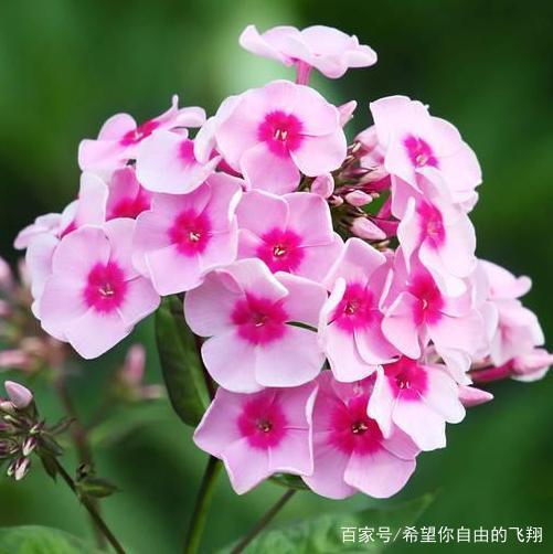 出乎意外