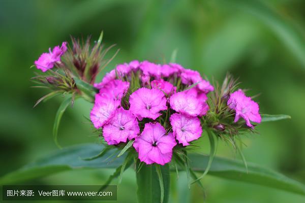 各不相让