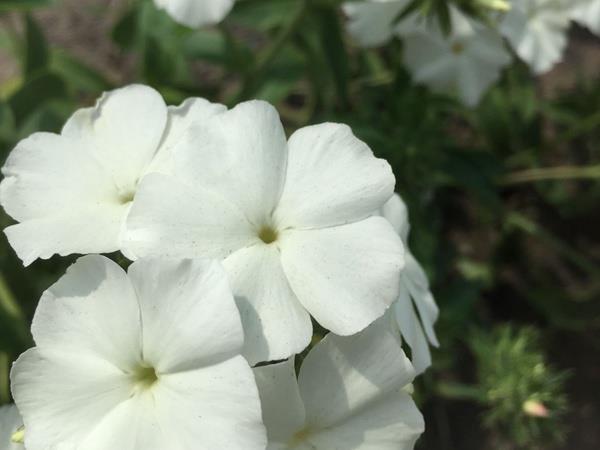 累月经年