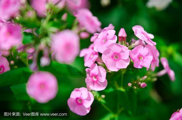 漫天彻地