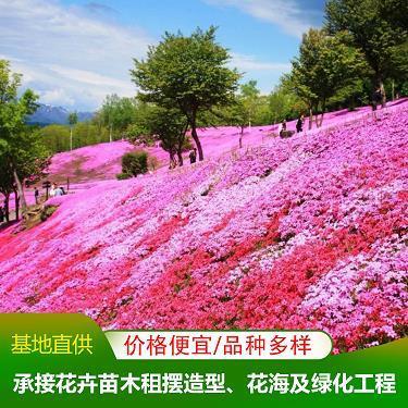 力屈势穷