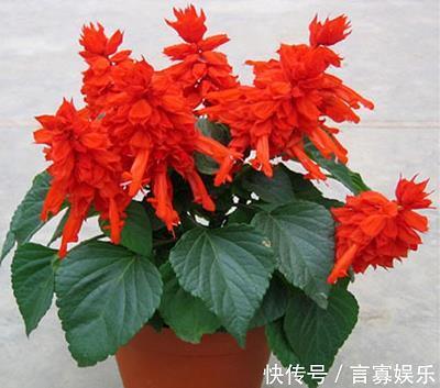 似水流年