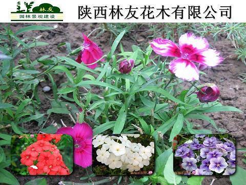 虚晃一枪
