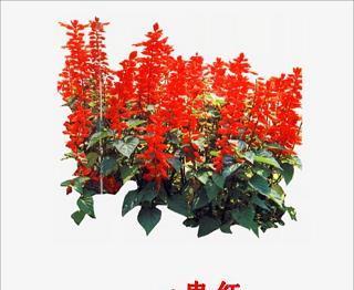 千虑一得