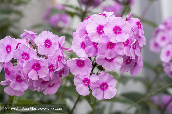 目睁口呆