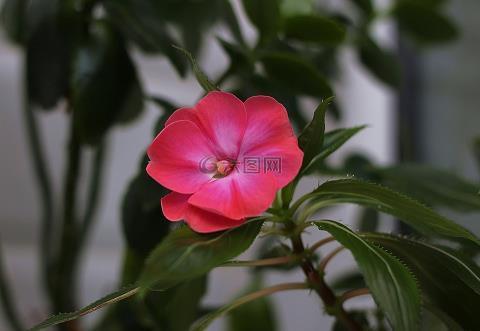轻骑简从