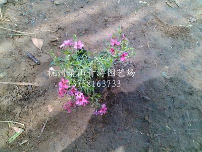 残民害理