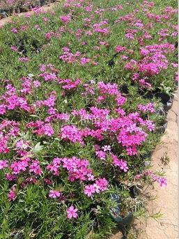 与世沈浮