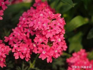 善善从长