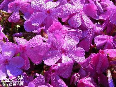 怦然心动