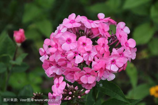 关于励志的座右铭