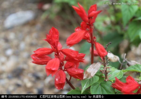 祝福妹妹的话72句