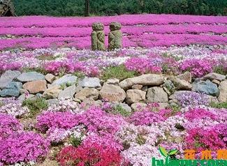 喻世明言