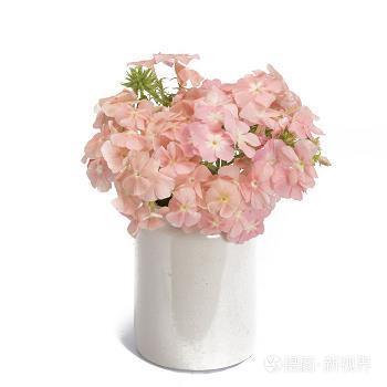 命运多舛