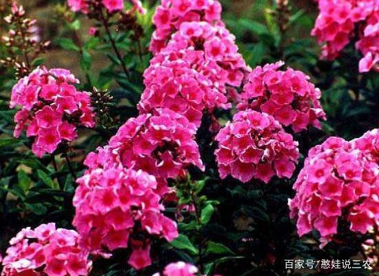 唐虞之治