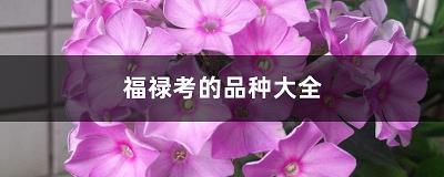 祁奚之荐