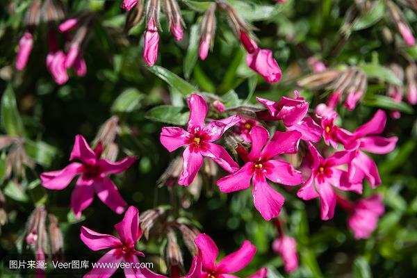 青史流芳