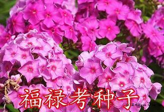 妥妥贴贴