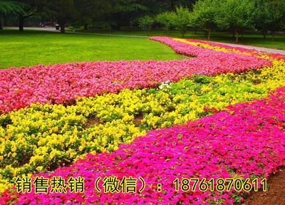 与世沉浮