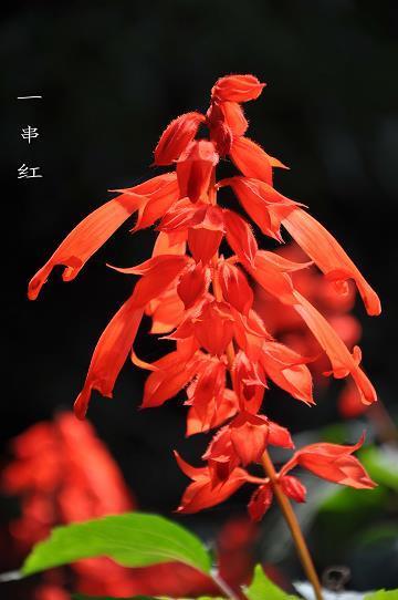 大事完毕