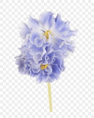 眼花心乱