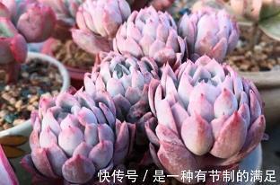 束上起下