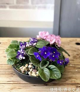 郁郁沉沉