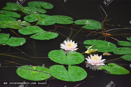 丰墙峭址