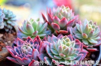 每日晨语朋友圈正能量摘录27句